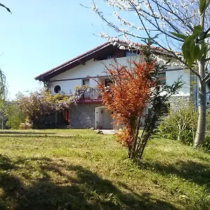 Mote , Mutriku Spanje